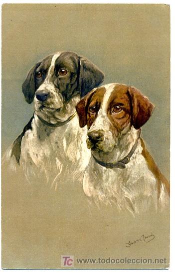 Cartes Postales: PERROS, PERRITOS,      P23147