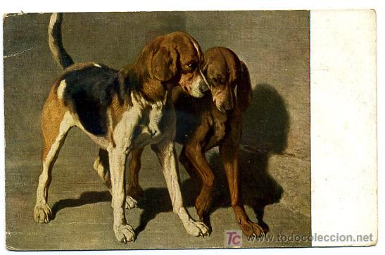 Cartes Postales: PERROS, PERRITOS,      P23161