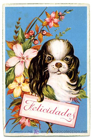 Postais: PERROS, PERRITOS,      P23168