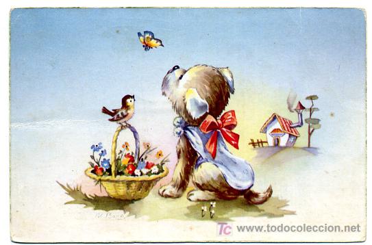 Postais: PERROS, PERRITOS, PAJAROS, PAJARITOS, P23170