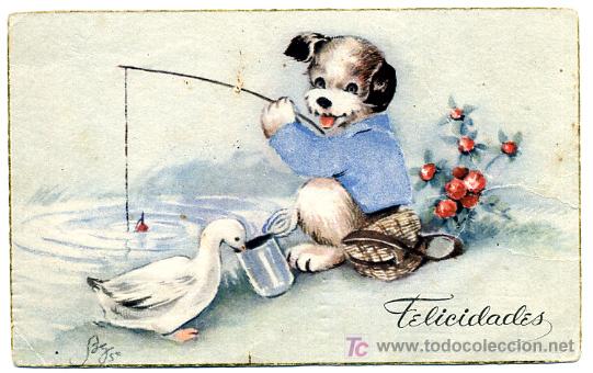 Postais: PERROS, PERRITOS, PATOS, PATITOS,      P23171