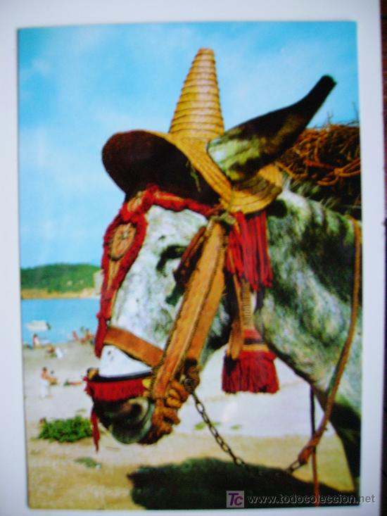 Postales: montura enjaezada a la andaluza