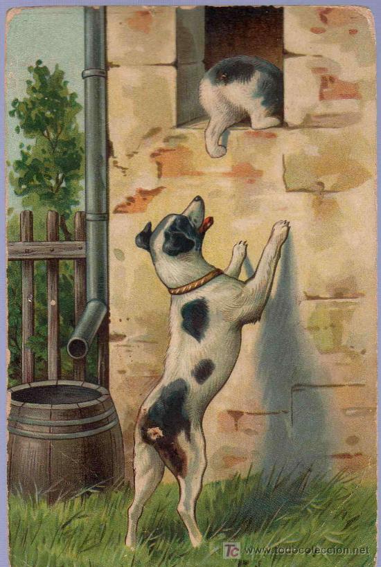 Postcards: TARJETA POSTAL ANTIGUA DE ANIMALES.