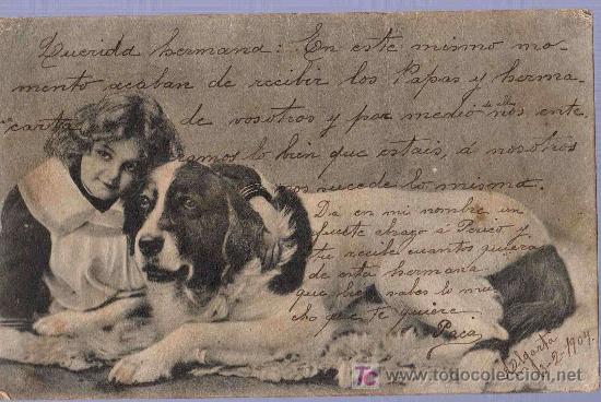 Postcards: TARJETA POSTAL ANTIGUA DE ANIMALES. REVERSO NO DIVIDIDO