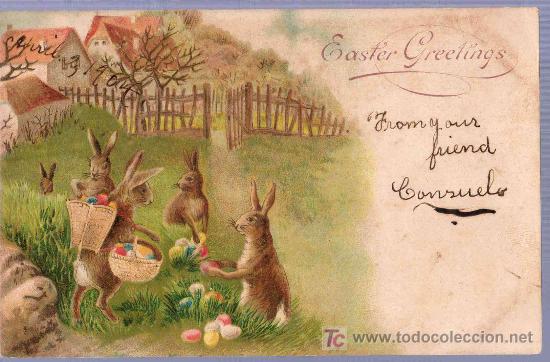 Postcards: TARJETA POSTAL ANTIGUA DE ANIMALES. REVERSO NO DIVIDIDO