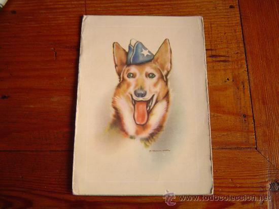 Postales: Bonita postal de un perro.