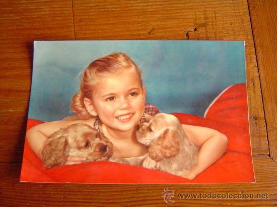 Postais: Bonita postal de dos cachorros de perro y una bonita ni&ntilde;a.