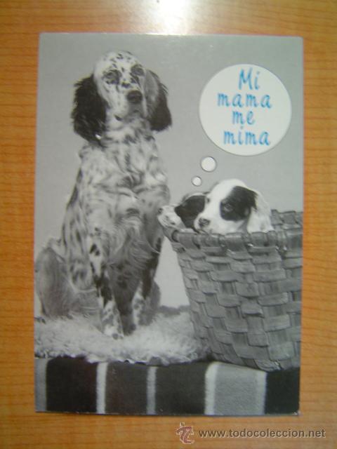Postcards: POSTAL MADE IN CATALONIA  MI MAMA ME MIMA SIN CIRCULAR