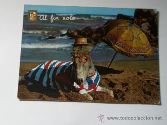 Postales: Postal - Foto 1