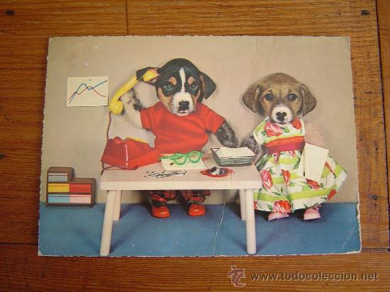 Postales: Buena postal de pareja de perros llamando por telefono