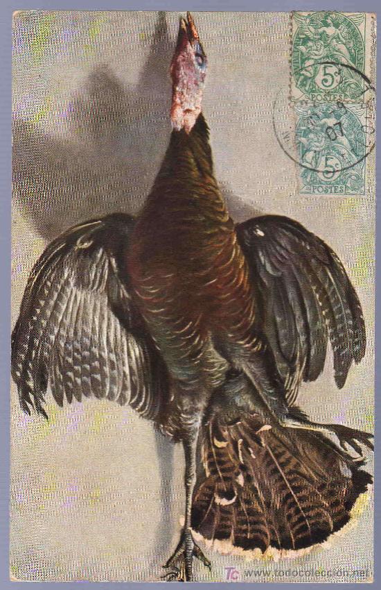 Postcards: TARJETA POSTAL ANTIGUA DE ANIMALES. REVERSO NO DIVIDIDO.