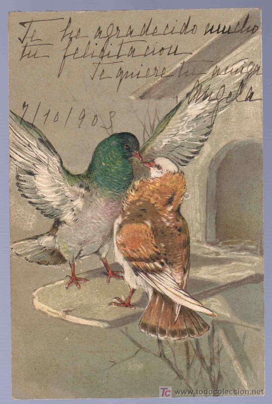 Postcards: TARJETA POSTAL ANTIGUA DE ANIMALES. REVERSO NO DIVIDIDO.
