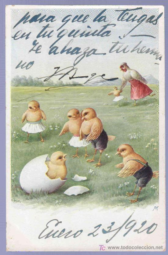 Postcards: TARJETA POSTAL ANTIGUA DE ANIMALES. REVERSO NO DIVIDIDO.