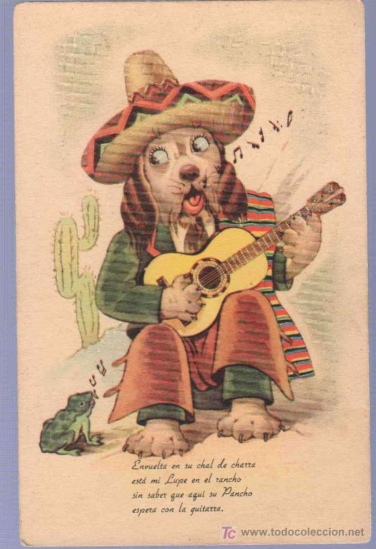 Postcards: TARJETA POSTAL ANTIGUA DE ANIMALES.