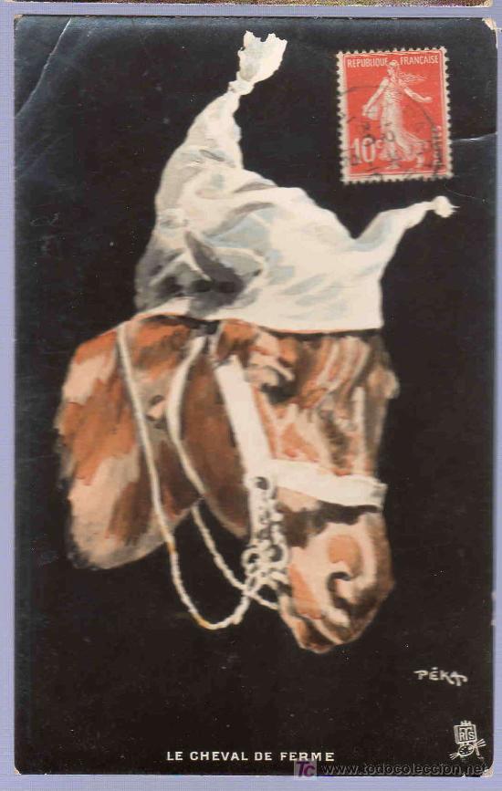 Postcards: TARJETA POSTAL ANTIGUA DE ANIMALES.
