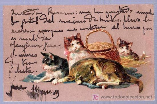 Postais: TARJETA POSTAL FOTOGRAFICA ANTIGUA DE ANIMALES. GATOS.