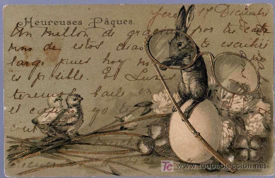 Postcards: TARJETA POSTAL FOTOGRAFICA ANTIGUA DE ANIMALES. CONEJO. REVERSO NO DIVIDIDO.
