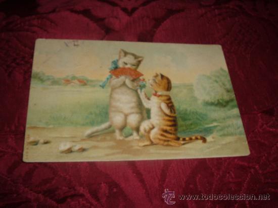 Postcards: postal gatos amorosos,a & m b