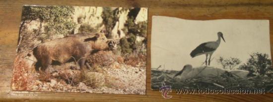 Postales: 2 postales