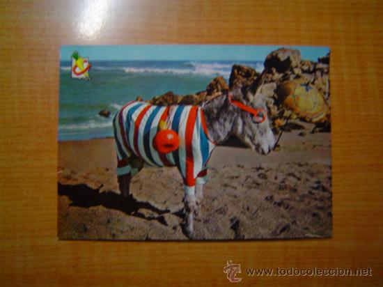 Postkarten: POSTAL QUE BURRO SOY SIN CIRCULAR