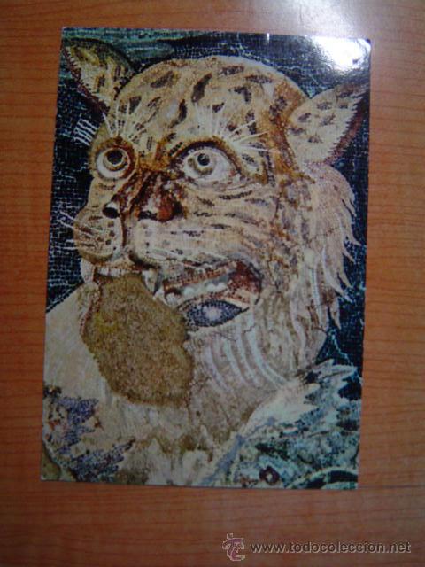 Postkarten: POSTAL DELOS TIGRE -MASAIQUE .SIN CIRCULAR