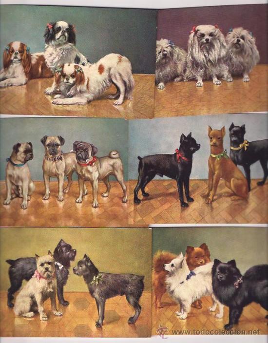 Cartes Postales: SERIE DE 6 POSTALES DE PERROS, A&Ntilde;OS 20