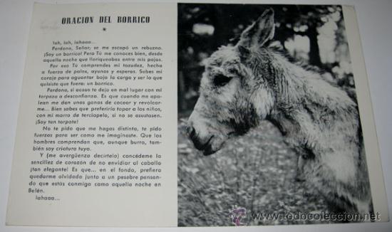 Postkarten: ANTIGUA Y CURIOSA POSTAL ORACION AL BORRICO - BURRO VIOLETA FINCA AITARENTXOKO - EN