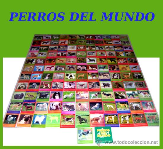 Postcards: IMPRESIONANTE COLECCI&Oacute;N EXCLUSIVA - FICHAS - RAZAS DE PERROS DEL MUNDO