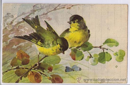 Postales: Pajaros. Ilustraci&oacute;n. Sin circular. - Foto 1