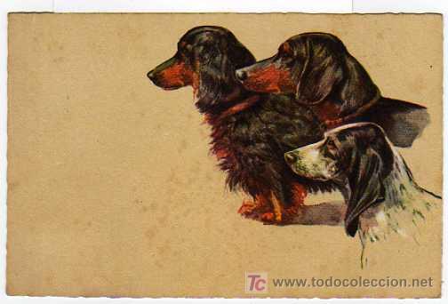 Postcards: BONITA POSTAL ARTISTICA - PERROS - DEGAMI 656