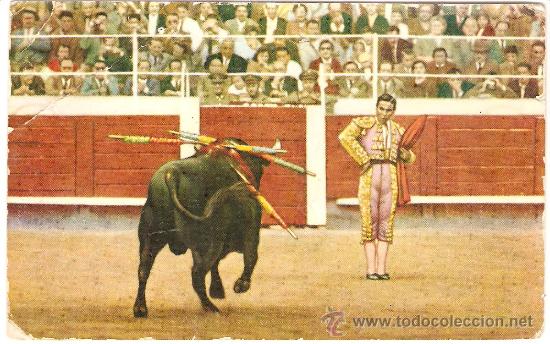Postales: TOROS. citando de lejos al natural