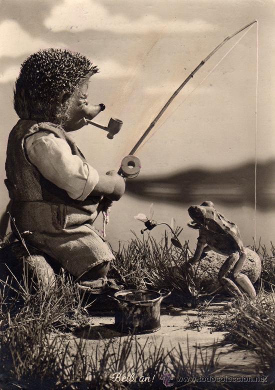 Cartes Postales: BONITA Y SIMPATICA POSTAL CIRCULADA,PUERCO ESPIN PESCANDO Y RANA