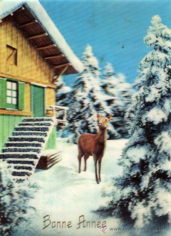 Postcards: CURIOSA POSTALESCRITA SIN CIRCULAR,CIERVO EN RELIEVE