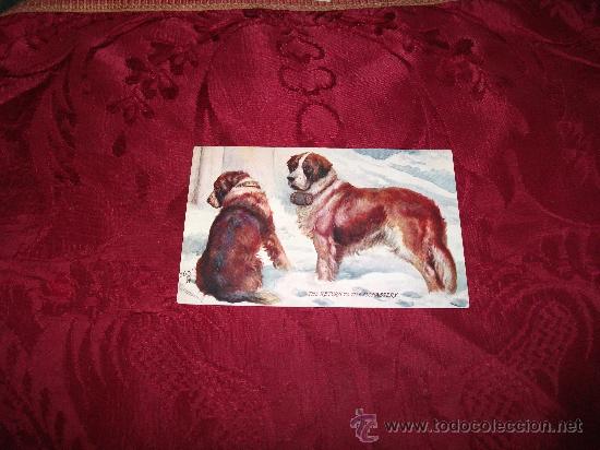Postcards: The return to the monastery (perros San Bernardo)Raphael Tuck & Sons Oilette