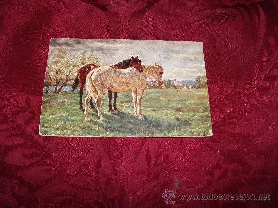 Postcards: Pareja de caballos,H K co M marke palette