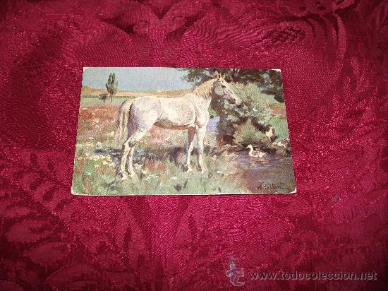 Postcards: Caballo,H K co M marke palette