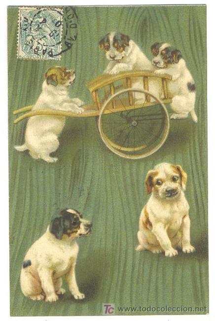 Postales: ANIMALES VITANGE- MAS DE 2100 - Foto 2