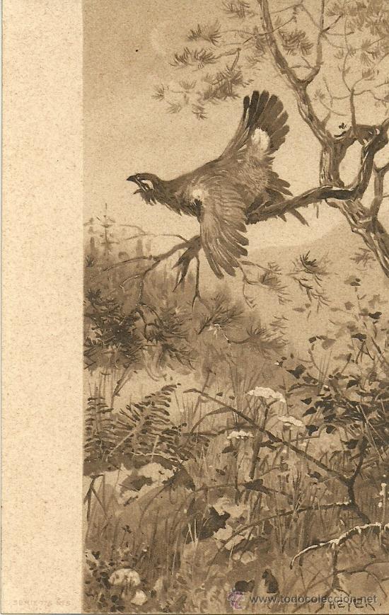 Cartes Postales: CAZA POSTAL ANTIGUA HEYER