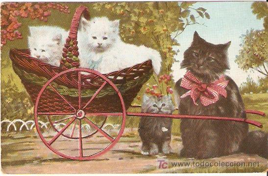 Postkarten: GATOS - Litografiada antigua -Sin escribir -Vell i Bell