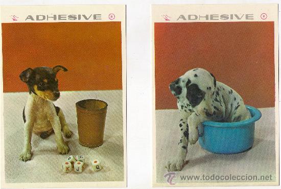 Cartes Postales: -21816 &iexcl;&iexcl; 2 POSTALES PERROS, SIN CIRCULAR, ADHESIVE, NUEVA POSTAL, S.A. !!