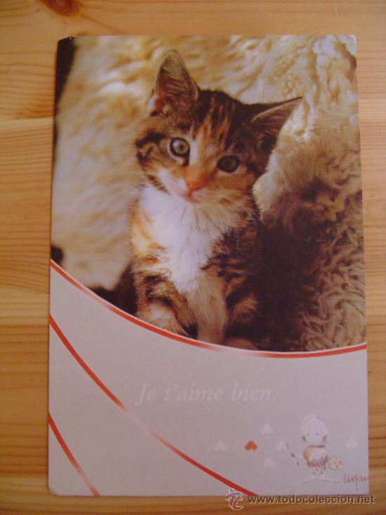 Postkarten: Postal de felicitaci&oacute;n en franc&eacute;s con un gato. JE T'AIME BIEN.