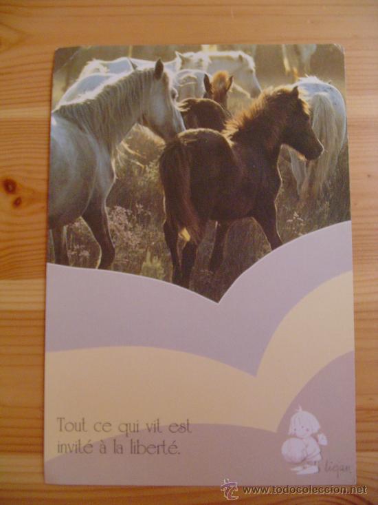 Postkarten: Postal de felicitaci&oacute;n en franc&eacute;s con caballos: TOUT CE QUI VIT EST INVIT&Eacute; &Agrave; LA LIBERT&Eacute;.