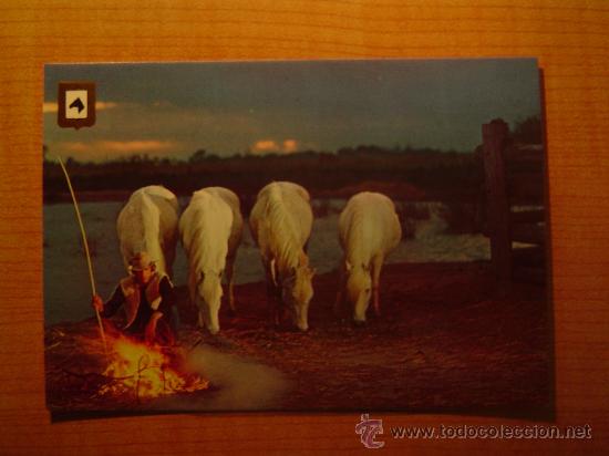 Postais: POSTAL  SERIE CABALLOS N&ordm; 2 SIN CIRCULAR