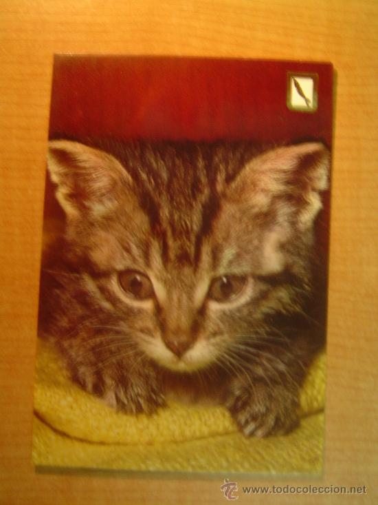 Postais: POSTAL GATO SIN CIRCULAR