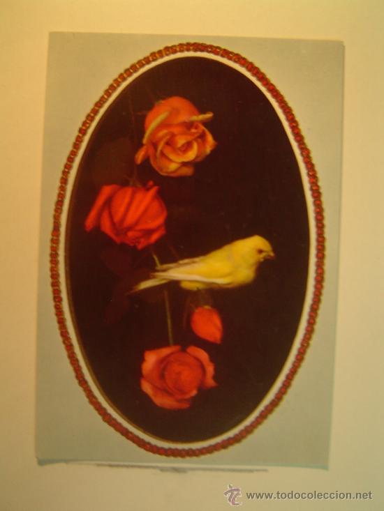 Postkarten: POSTAL PAJARO CON ROSAS SIN CIRCULAR