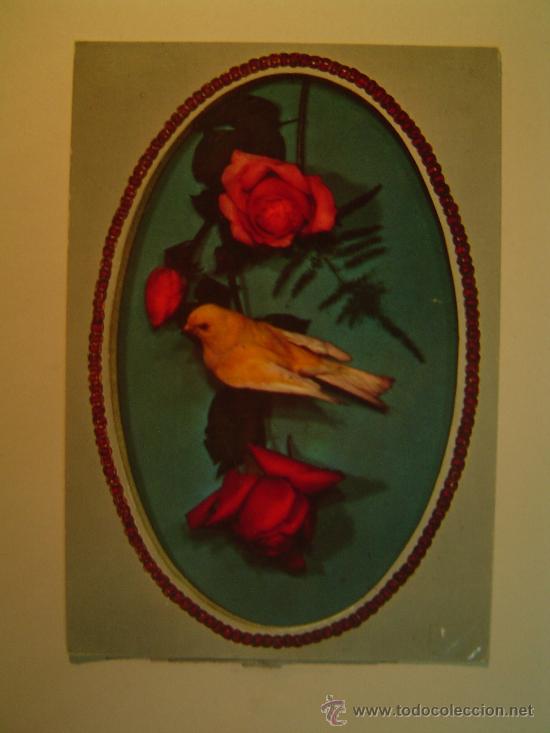 Postkarten: POSTAL PAJARO CON ROSAS SIN CIRCULAR