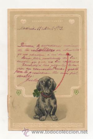 Postcards: POSTAL ILUSTRADA, CON RELIEVE. PERRO. (REVERSO SIN DIVIDIR).