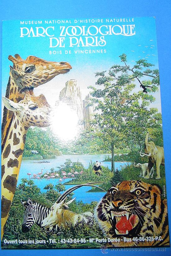 Postkarten: Postal Zoo Paris (Francia). Museum National d'Histoire Naturelle. PARC ZOOLOGIQUE DE PARIS.A&ntilde;os 90.