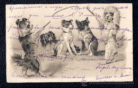 Postkarten: BONITA POSTAL PERROS EN RELIEVE