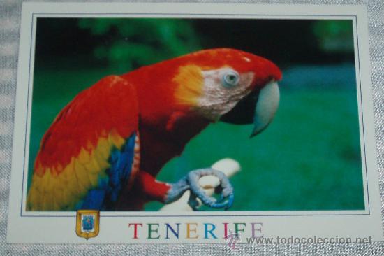 Postcards: loro de tenerife comercial escudo de oro